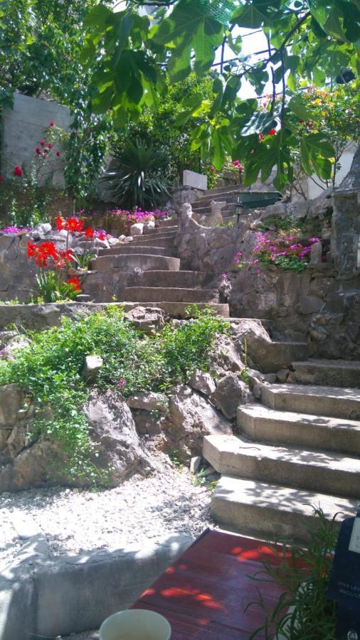 טרוגיר Villa Angel מראה חיצוני תמונה